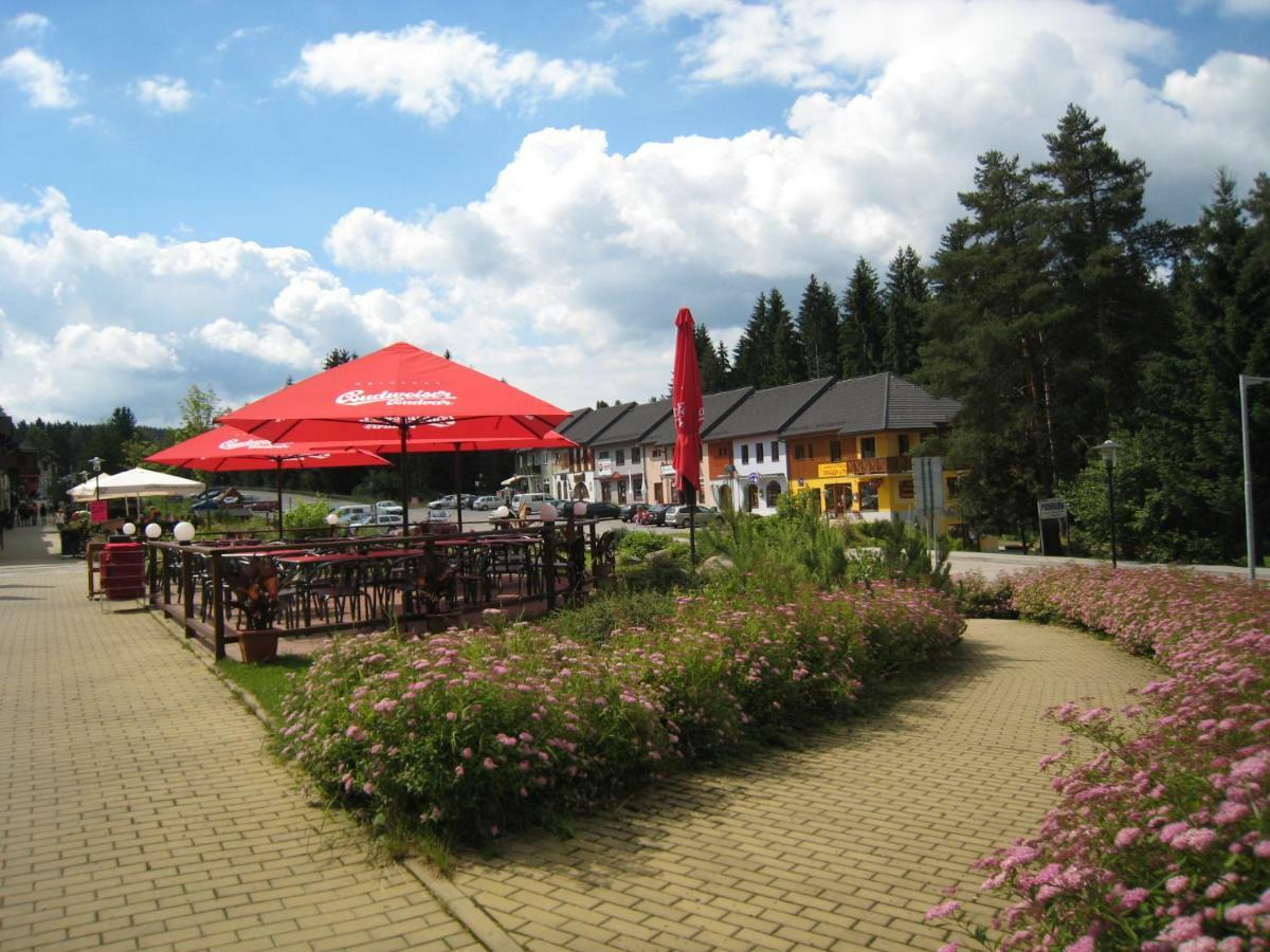Apartman Riviera Apartment Lipno nad Vltavou Exterior photo